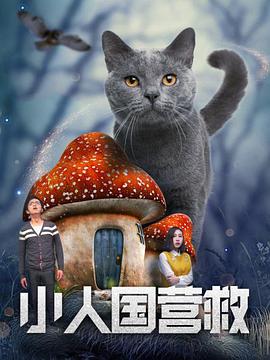 在线手机视频