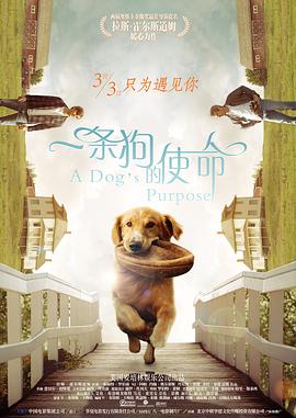青椒av