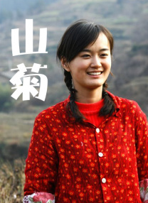 视频福利一区