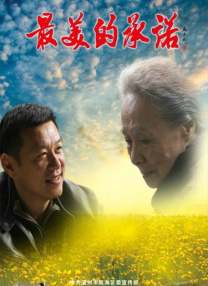 久久久久久综合成人精品