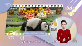 野外吮她的花蒂高h在线观看